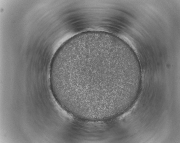 X0000088231133200706121849