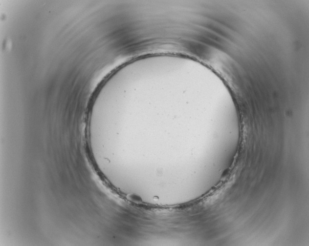 X0000088231134200706121849