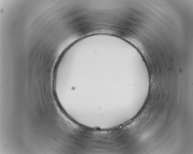 X0000088231135200706121849