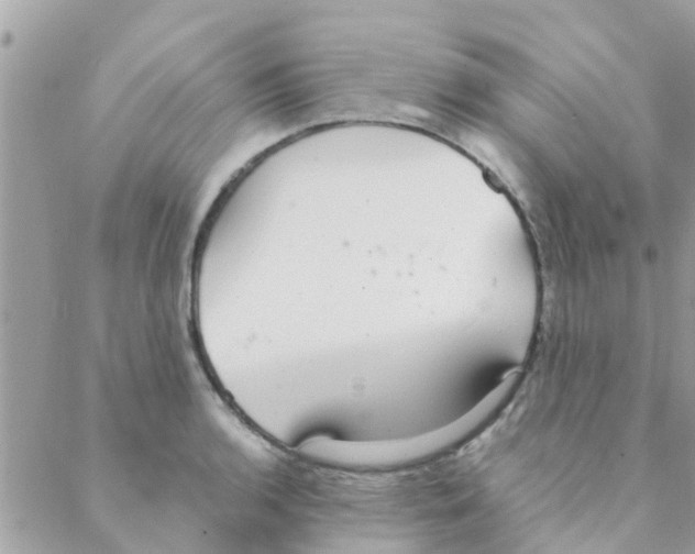 X0000088231136200706121849