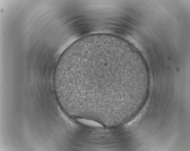 X0000088231137200706121849