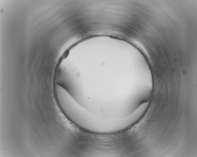 X0000088231138200706121849