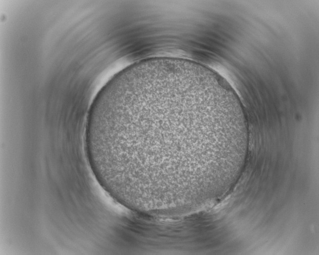 X0000088231139200706121849