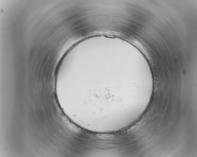 X0000088231140200706121849