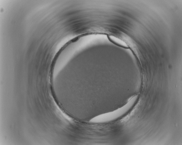 X0000088231141200706121849