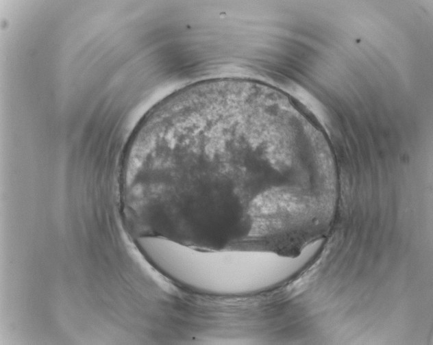 X0000088231142200706121849