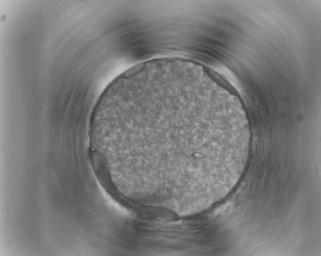 X0000088231143200706121849