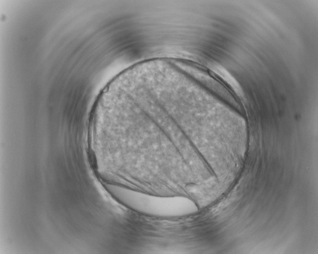 X0000088231144200706121849