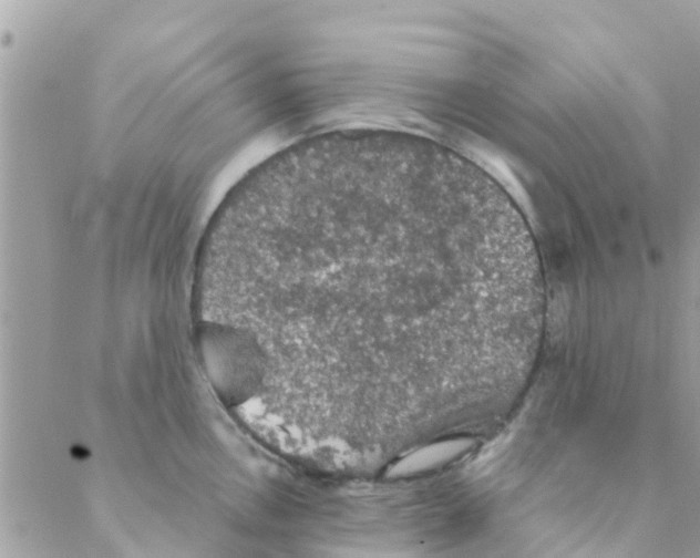 X0000088231146200706121849