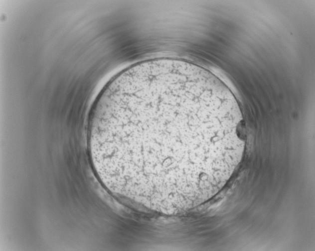 X0000088231148200706121849