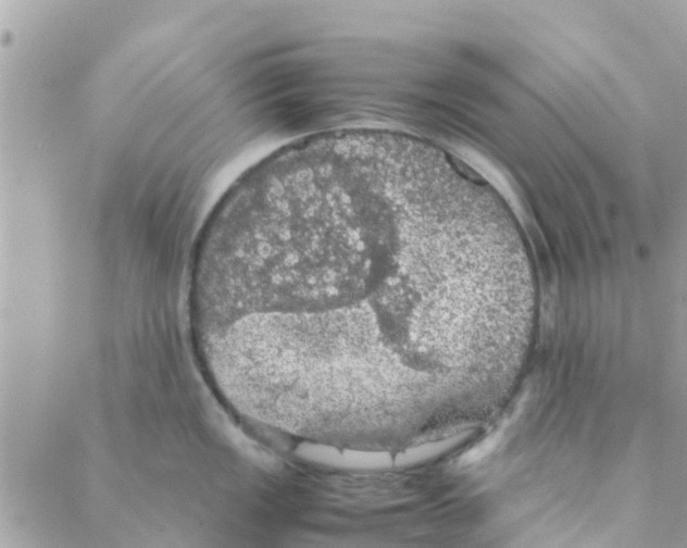 X0000088231149200706121849