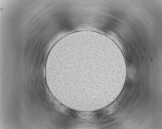 X0000088231150200706121849