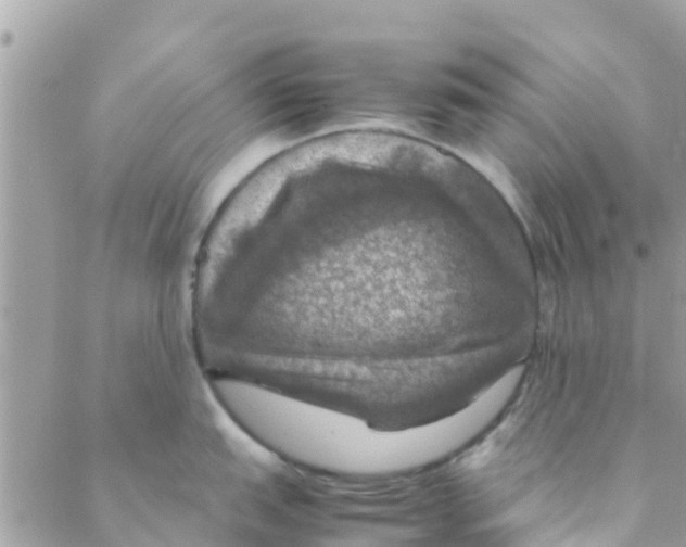 X0000088231151200706121849