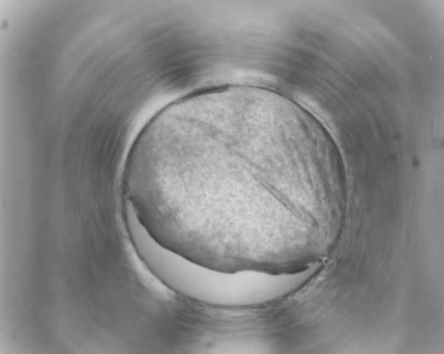 X0000088231152200706121849