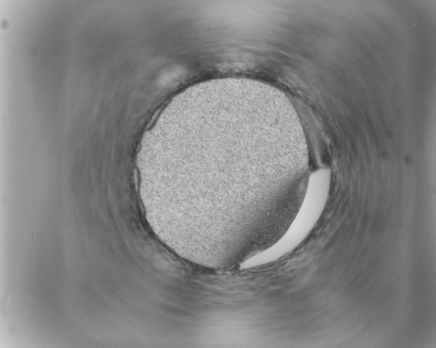 X0000088231153200706121849