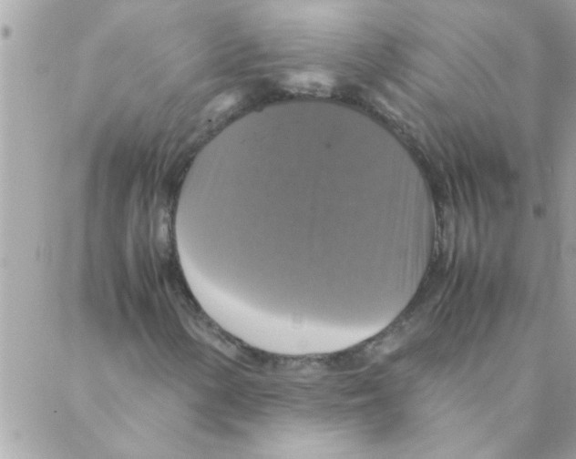 X0000088231154200706121849