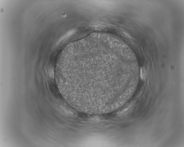 X0000088231155200706121849