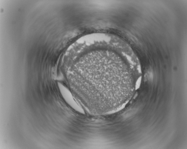 X0000088231156200706121849