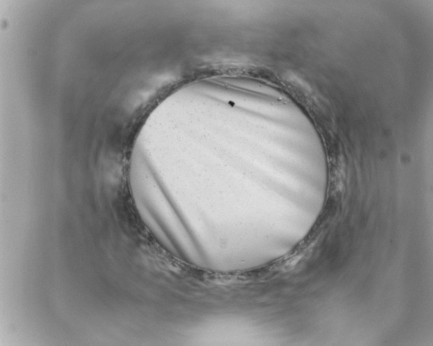 X0000088231157200706121849