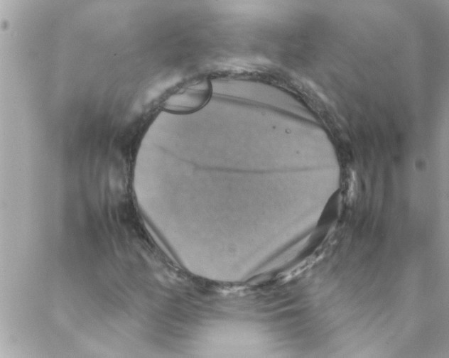 X0000088231158200706121849