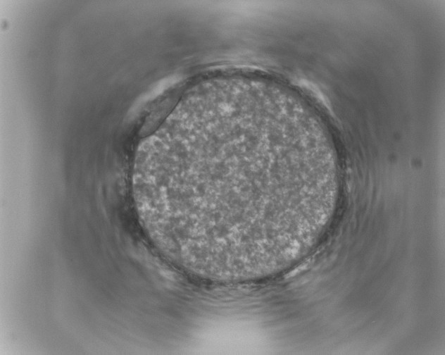 X0000088231159200706121849