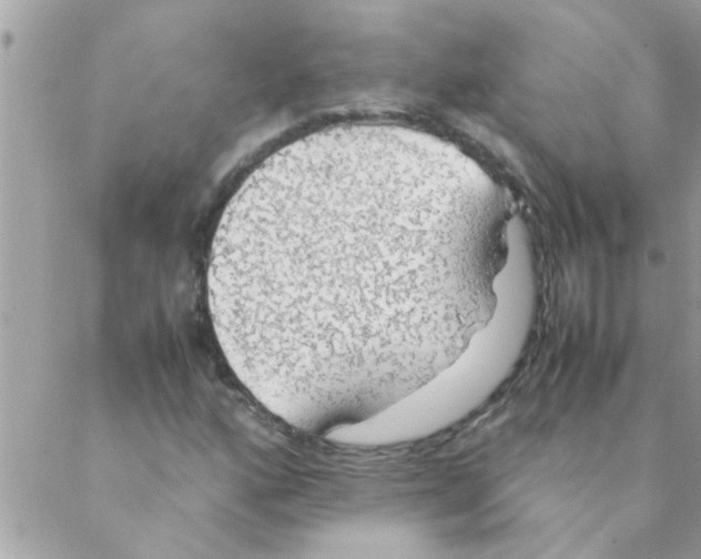 X0000088231160200706121849