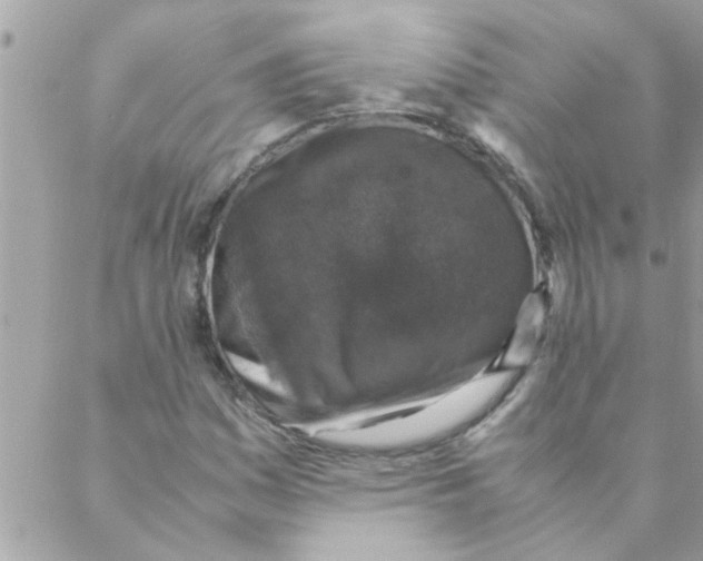 X0000088231161200706121849