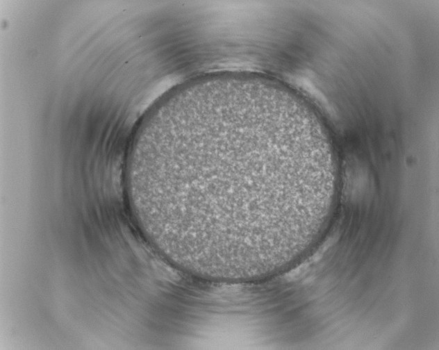 X0000088231162200706121849