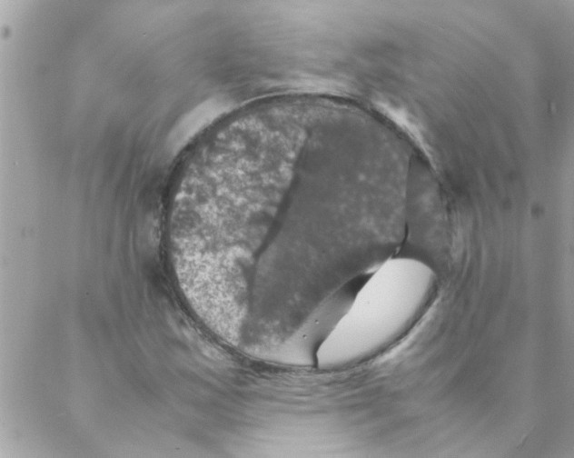 X0000088231163200706121849