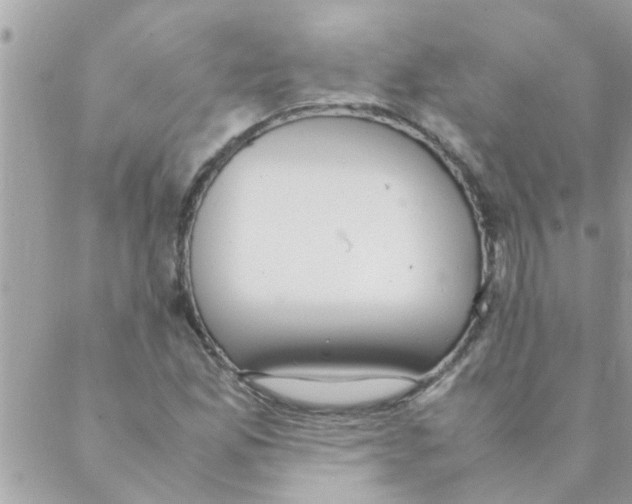 X0000088231165200706121848