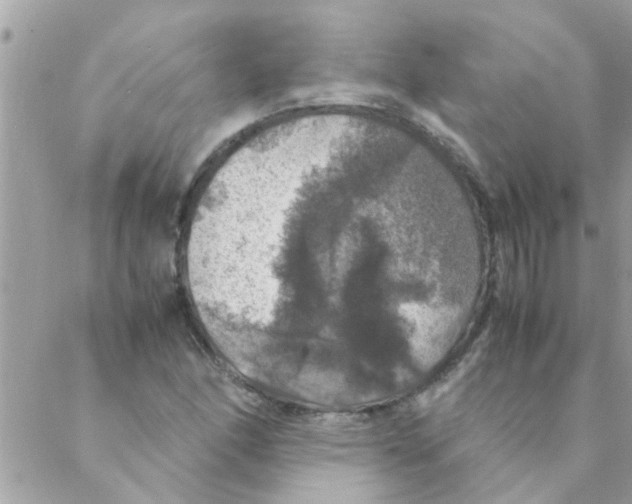 X0000088231166200706121848