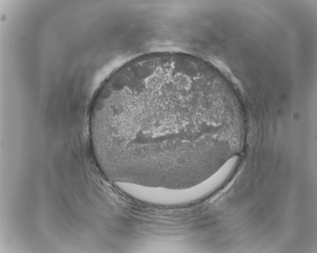 X0000088231167200706121848