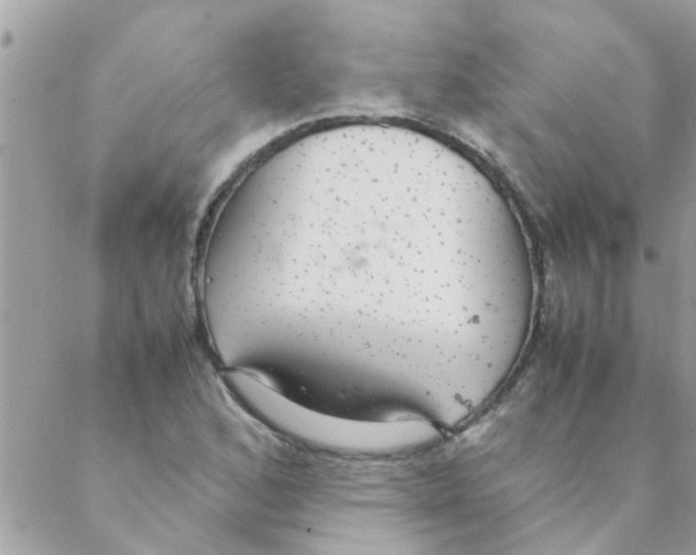 X0000088231168200706121848