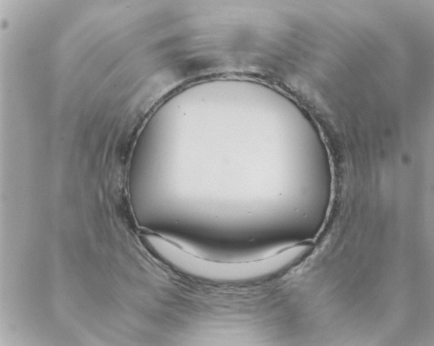 X0000088231169200706121848