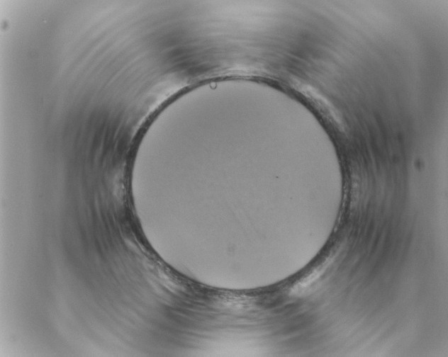 X0000088231170200706121848