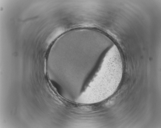 X0000088231171200706121848