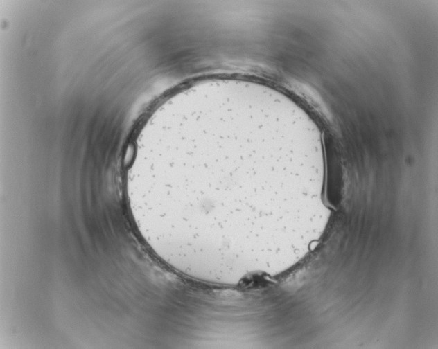 X0000088231172200706121848