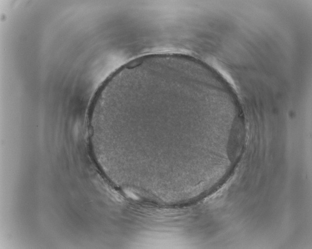 X0000088231173200706121848