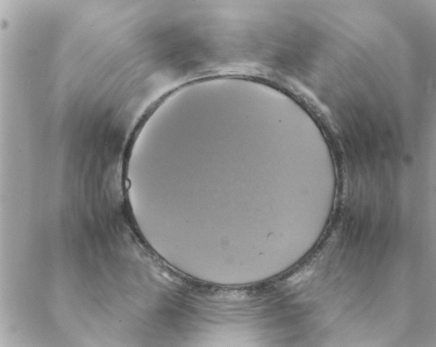 X0000088231174200706121848