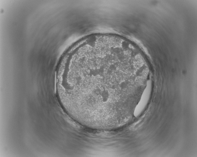 X0000088231175200706121848