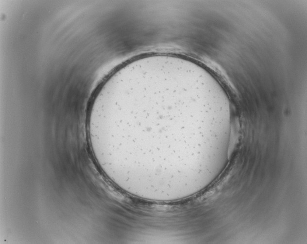 X0000088231176200706121848