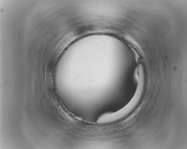 X0000088231177200706121848