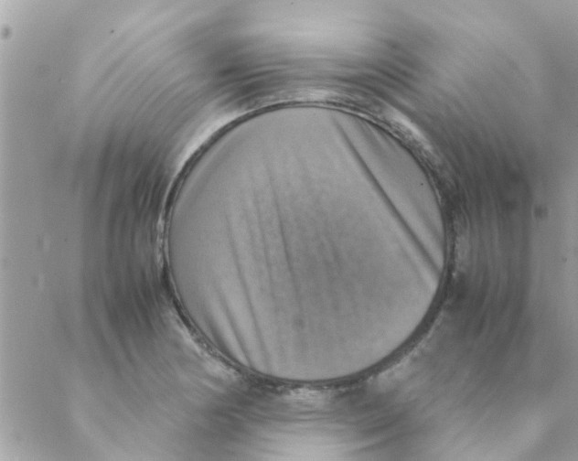 X0000088231178200706121848