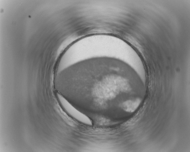 X0000088231179200706121848