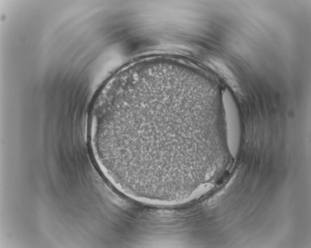 X0000088231180200706121848