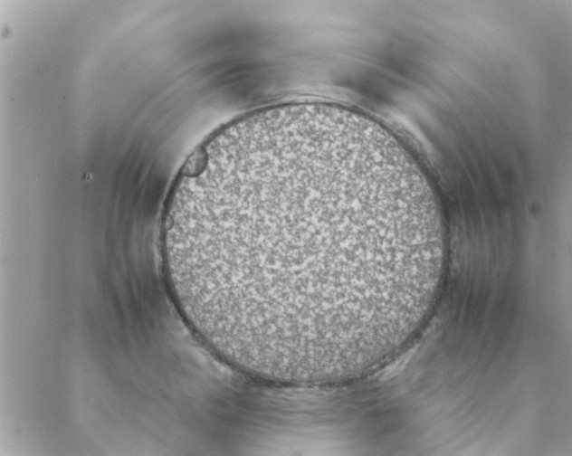 X0000088231182200706121848