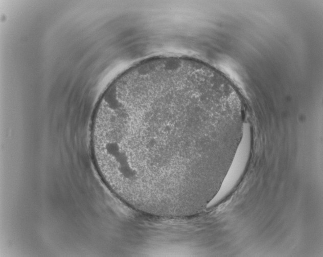 X0000088231183200706121848