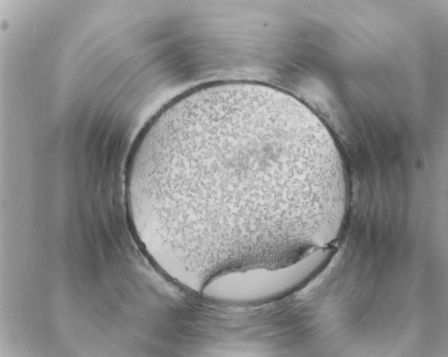 X0000088231184200706121848