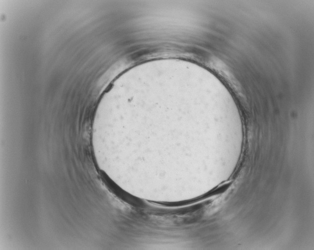 X0000088231185200706121848