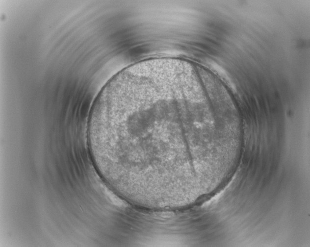 X0000088231186200706121848